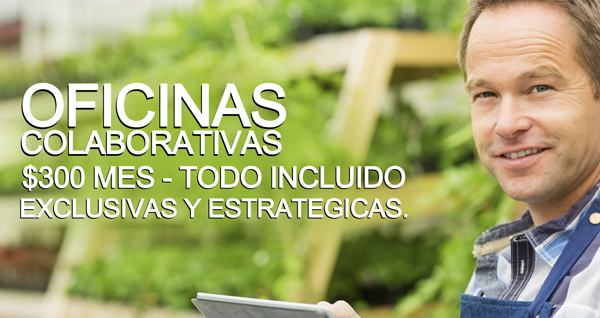   publicidad